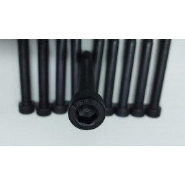 JUEGO DE 10 TORNILLOS DE CULATA