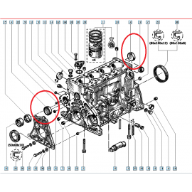 TAPON DE BLOQUE CLIO 16S / WILLIAMS