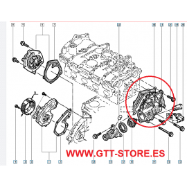 JUNTA CAJA TERMOSTATO RENAULT CLIO SORT 172/182
