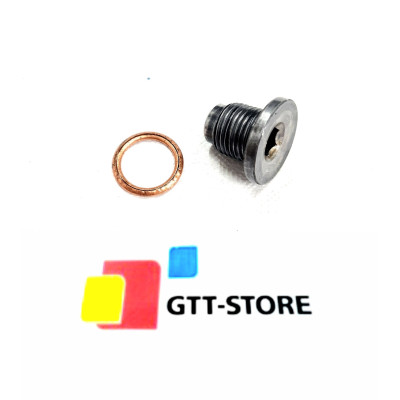 TAPON DE CARTER RENAULT 21 TURBO