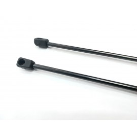 AMORTIGUADORES MALETERO CLIO 1.8 16V / WILLIAMS