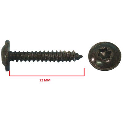 TORNILLO TORX PLASTICOS INTER. 4,8x22